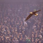 An eagle flies into the stadium during the National Anthem prior to the NFC Championship game between the Philadelphia Eagles and the Minnesota Vikings at Lincoln Financial Field on January 21, 2018 in Philadelphia, Pennsylvania.  (Photo by Mitchell Leff/Getty Images)