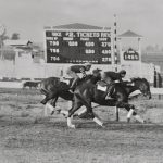 Man O' War (nearest camera) and Sir Barton (inside) working out before race at Kenilworth Park, Windsor, Ontario.
