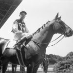 All set for the $100,000 match race with Sam Riddle's War Admiral, is C.S. Howard's Seabiscuit, pictured at Belmont Park today. This is how 'Biscuit will look going to the post with jockey Johnny Pollard in his official silks et al.