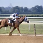 Jockey Ron Turcotte sits atop of Secretariat (2) racing to win the Triple Crown at the Belmont Stakes June 9, 1973, at Belmont Park, Elmont, NY. (Photo by Focus On Sport/Getty Images)