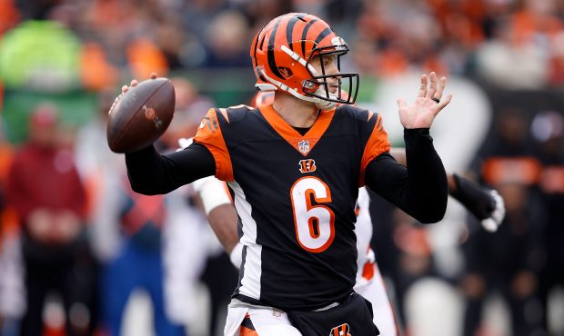 Jeff Driskel #6 of the Cincinnati Bengals throws a pass during the fourth quarter of the game again...