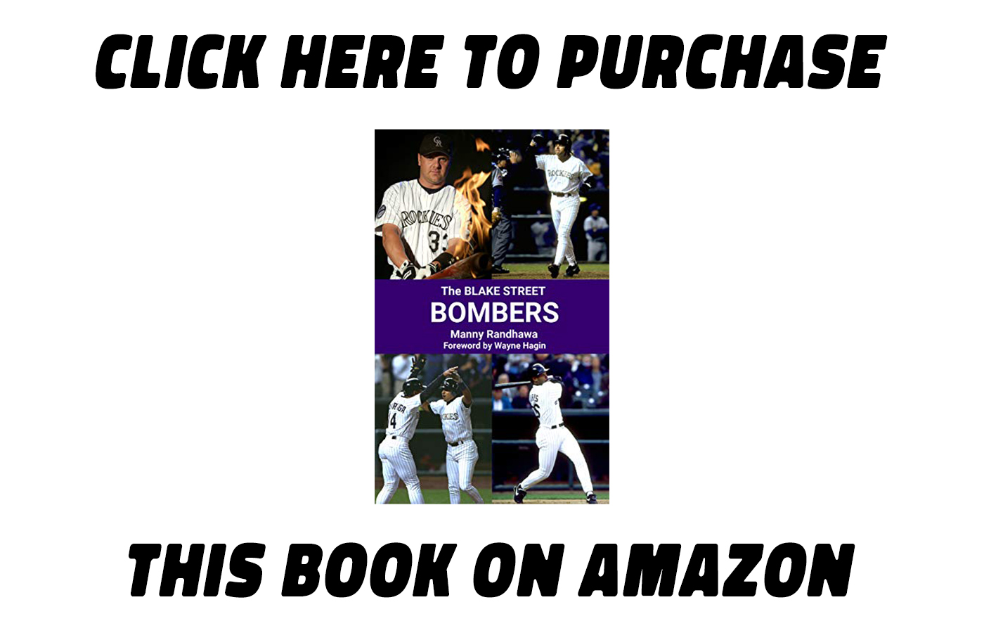The Blake Street Bombers book